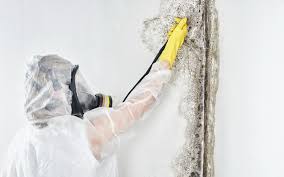 Best Industrial Mold Remediation  in Coarsegold, CA